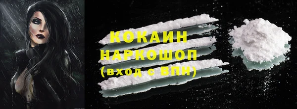 прущие грибы Балахна