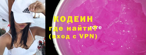 индика Осташков