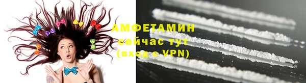 прущие грибы Балахна