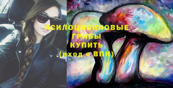 прущие грибы Балахна