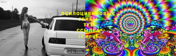 молекула духа Балабаново